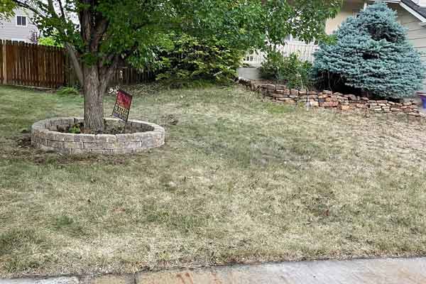 From view of home lawn needing landscaping